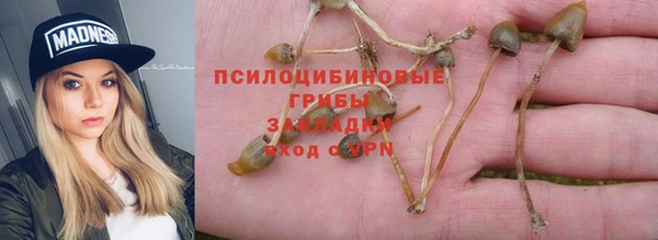 ALPHA-PVP Белокуриха