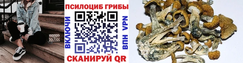 закладки  hydra зеркало  Псилоцибиновые грибы ЛСД  Пикалёво 